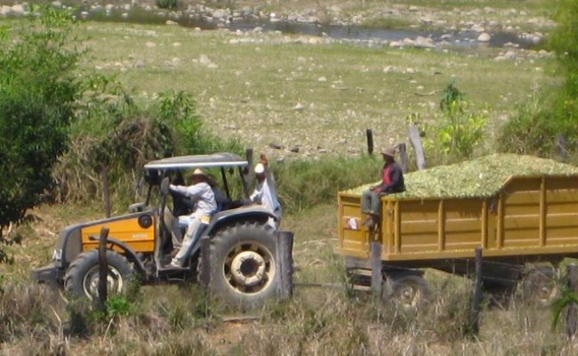 426904_10150645707701089_1946924780_n