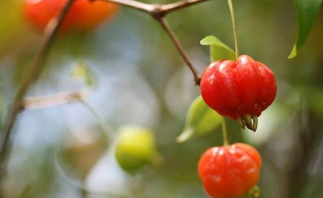 523610_10150655398706089_1114486492_n