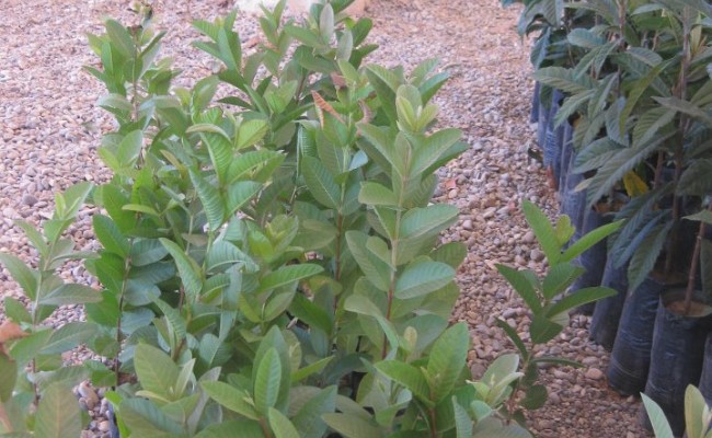 528051_10150658936121089_640966088_9427789_422939611_n