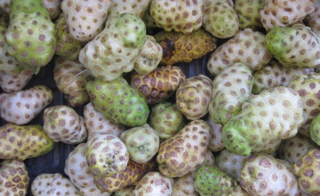 528879_10150657953671089_925078526_n