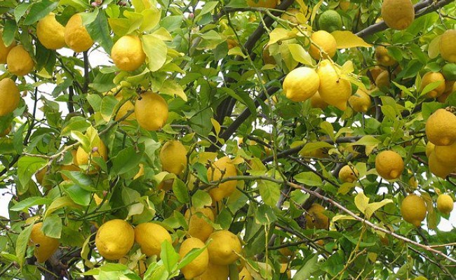 535219_10150658207606089_640966088_9425462_912346239_n