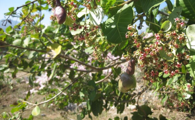 535535_10150653444251089_1094989368_n