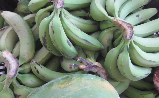 541221_10150657942526089_63503626_n