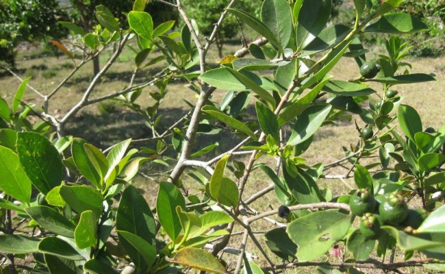 554231_10150653635891089_640966088_9411679_761488_n