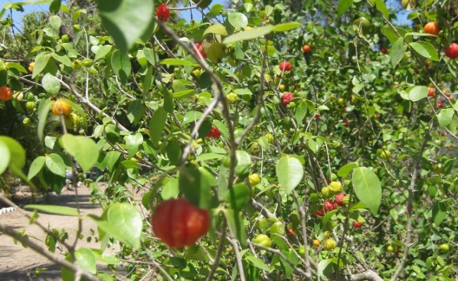 558653_10150657308581089_640966088_9422419_1352769102_n