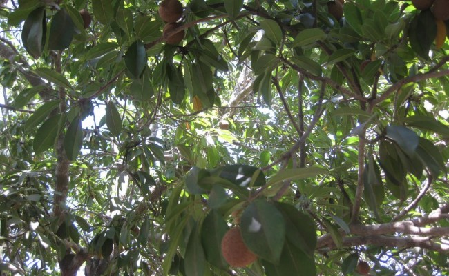 563450_10150657309591089_640966088_9422421_828281417_n