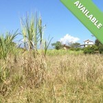 Land Available at Rancho Amigos Ecovillage