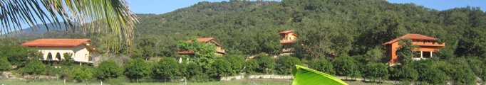 Panoramic-Houses